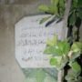 Bio: Abu Shamah al-Maqdisi