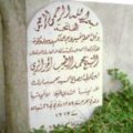 Bio: Sh. Muhammad al-Tayyib al-Hasani