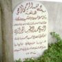 Bio: Sh. Muhammad al-Tayyib al-Hasani