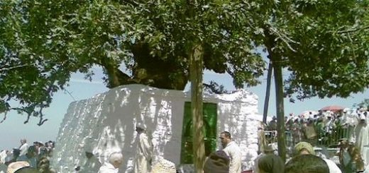 Bio: Moulay 'Abd al-Salam ibn Mashish