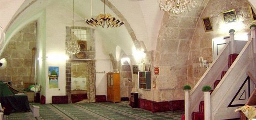 Bio: Abu Darda