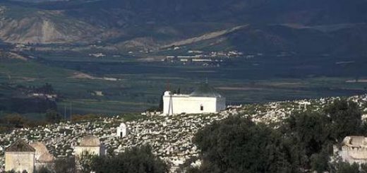 Bio: Sh. Abul Hassan ´Ali ibn Hirzihum