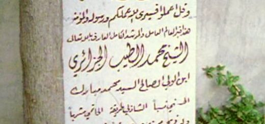 Bio: Sh. Muhammad al-Tayyib | الشيخ محمد الطيب