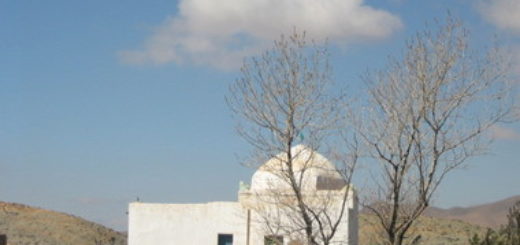 Bio: Sh. Ahmad ibn  Ajiba