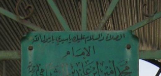 Bio: Sh. Muhammad Amin `Abidin (Ibn `Abidin)