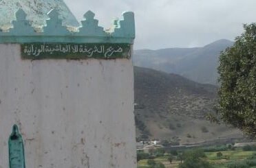 Bio: Sh. Muhammad ibn Ahmad al-Buzidi | الشيخ محمد بن أحمد البوزيدي