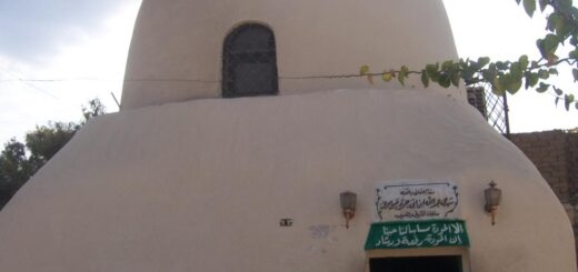 Bio: Sh. Ibn Abi Jamra | الشيخ عبد الله بن أبى جمرة