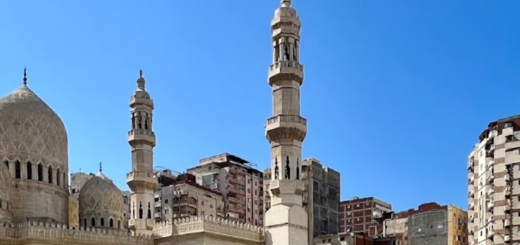 Bio: Sh. Makin al-Din al-Asmar | سيدي مكين الردين الأسمر