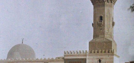 Bio: Sayyid al-Hasan al-Anwar | السيد حسن الأنور