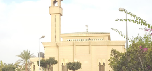 Bio: Sayyid Hasan al-Anwar | السيد حسن الأنور