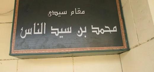 Bio: Sh. Ibn Sayyid al-Nas | الشيخ محمد بن سيد الناس