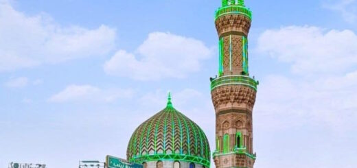 Bio: Sayyida Zaynab bint 'Ali | السيدة زينب بنت علي